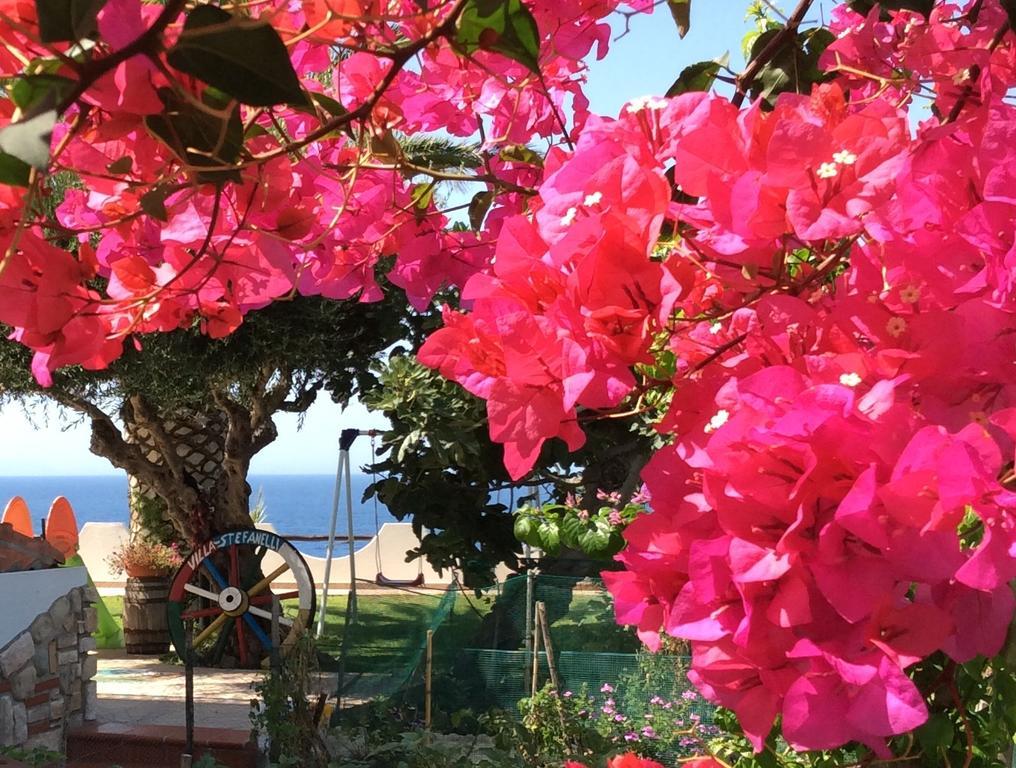 Residenza Stefanelli Διαμέρισμα Capo Vaticano Εξωτερικό φωτογραφία