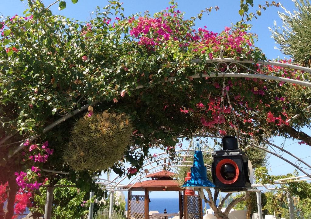 Residenza Stefanelli Διαμέρισμα Capo Vaticano Εξωτερικό φωτογραφία